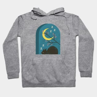 Evening Catnap Hoodie